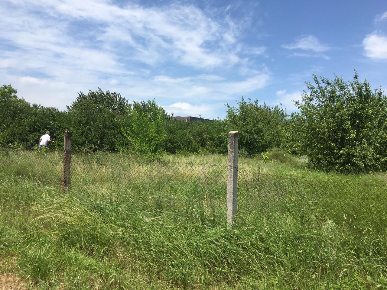 снт защитник ростов на дону